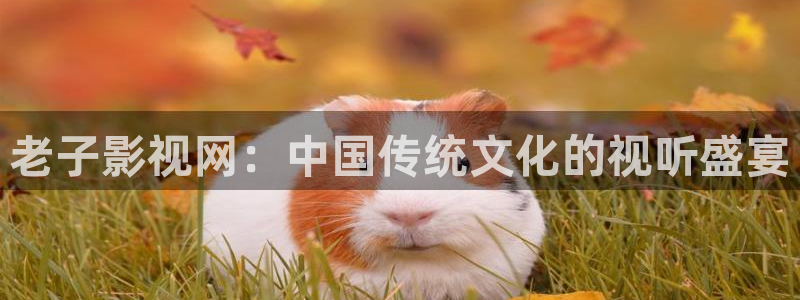 光棍院影：老子影视网：中国传统文化的视听盛宴