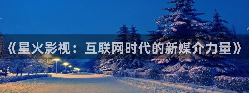 光棍影院理：《星火影视：互联网时代的新媒介力量》