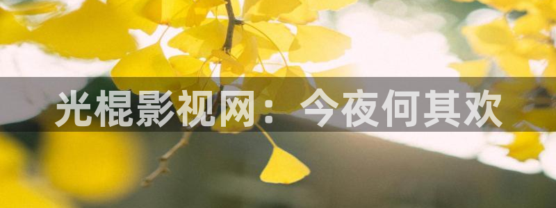 光棍影院1111yy：光棍影视网：今夜何其欢