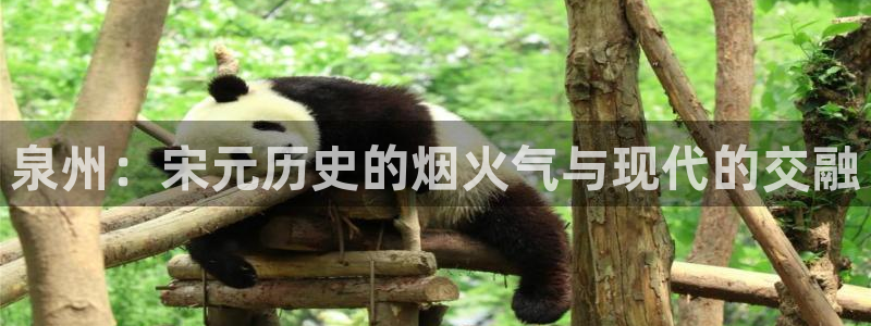 光棍影院大片：泉州：宋元历史的烟火气与现代的交融