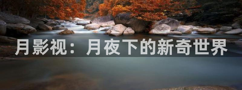 光棍影院手在线观看：月影视：月夜下的新奇世界