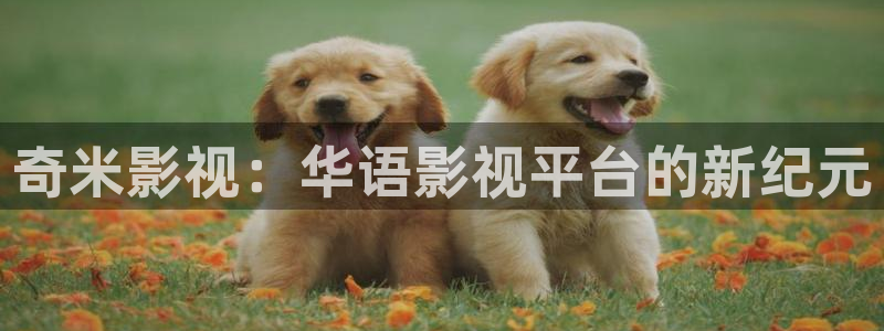 光棍天堂看片在线观看：奇米影视：华语影视平台的新纪元