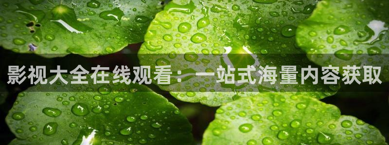 光棍影院电影网：影视大全在线观看：一站式海量内容获取