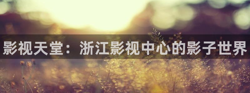 日韩光棍影院：影视天堂：浙江影视中心的影子世界