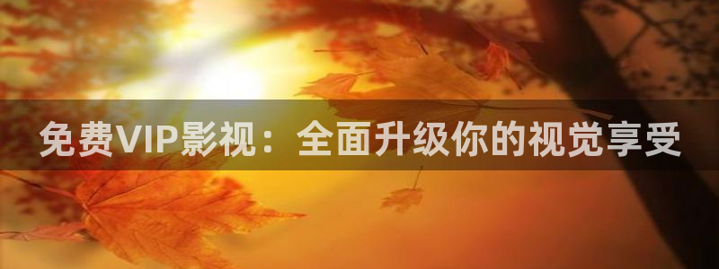 光棍影院手机电影在线：免费VIP影视：全面升级你的视觉享受